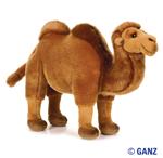 Webkinz Signature Wild Bactrian Camel | In Stock